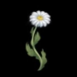 Обкладинка треку: Цветы Обкладинка: Цветы