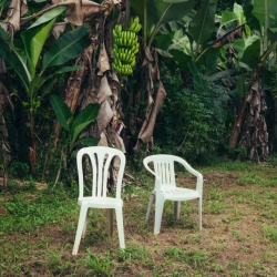 Фото виконавця Bad Bunny