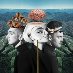 Обкладинка: Symphony (feat Zara Larsson)