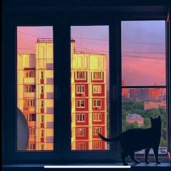 Обкладинка: Айстри