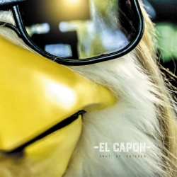 Обкладинка: Shut Up Chicken - Radio Edit