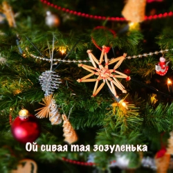 Обкладинка треку: Oi Syvaia Taia Zozulenka Обкладинка: Oi Syvaia Taia Zozulenka