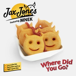 Обкладинка треку: Where Did You Go (feat MNEK) Обкладинка: Where Did You Go (feat MNEK)