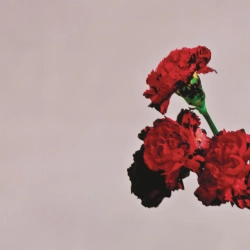 Обкладинка: All of Me