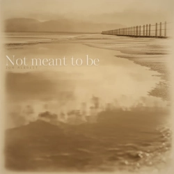 Обкладинка: Not meant to be