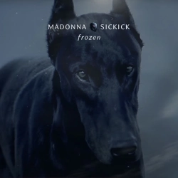 Обкладинка треку: Frozen Обкладинка: Frozen