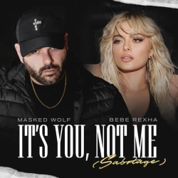 Обкладинка треку: It’s You, Not Me (Sabotage) Обкладинка: It’s You, Not Me (Sabotage)