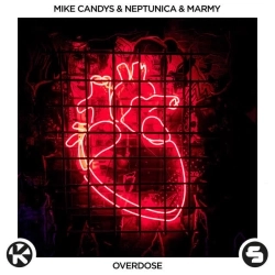 Обкладинка: Overdose