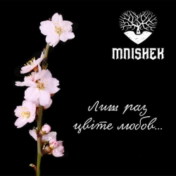 Обкладинка: Лиш раз цвіте любов
