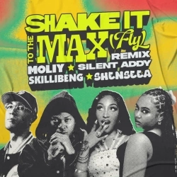 Обкладинка: Shake It To The Max (FLY) - Remix
