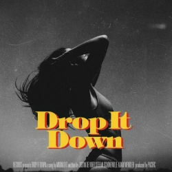 Обкладинка треку: Drop It Down Обкладинка: Drop It Down