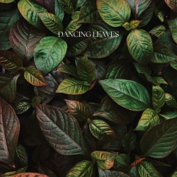 Обкладинка треку: Dancing Leaves Обкладинка: Dancing Leaves