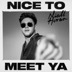 Обкладинка: Nice To Meet Ya