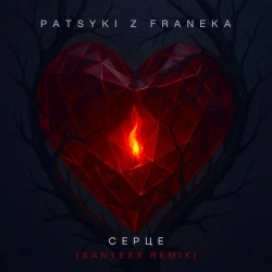 Обкладинка треку: Серце - Santexx Remix Обкладинка: Серце - Santexx Remix