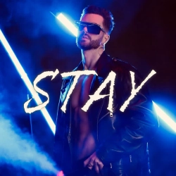 Обкладинка треку: Stay Обкладинка: Stay