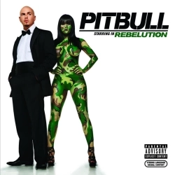 Обкладинка треку: I Know You Want Me (Calle Ocho) Обкладинка: I Know You Want Me (Calle Ocho)