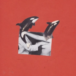 Обкладинка треку: Nothing Обкладинка: Nothing
