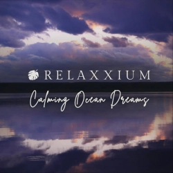 Обкладинка: The Veil of Serenity (With Ocean Waves)