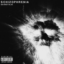 Обкладинка: SCHIZOPHRENIA