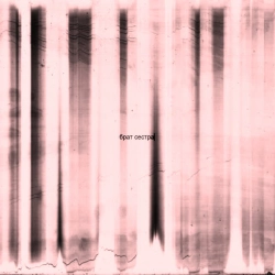Обкладинка: Брат Сестра