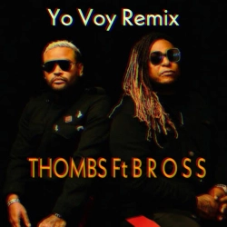Обкладинка треку: Yo Voy (Remix) Обкладинка: Yo Voy (Remix)