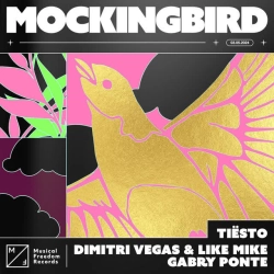 Обкладинка: Mockingbird - Extended Mix