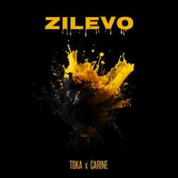 Обкладинка: Zilevo