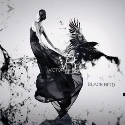 Обкладинка треку: Black Bird Обкладинка: Black Bird