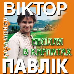 Обкладинка: Весілля в Карпатах
