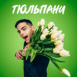 Обкладинка треку: Тюльпани Обкладинка: Тюльпани